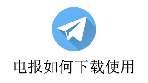 纸飞机私聊怎么看对方已读时间?3种方法实测有效